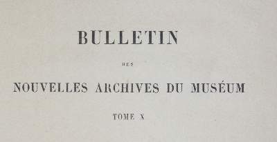 Bild Nr.3: 145-1663 David,A.: (Asien, China)