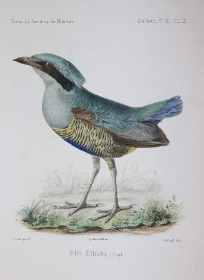 Bild Nr.4: 145-1663 David,A.: (Asien, China)