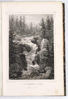 Bild Nr.7: 145-1809 Heinemann,O.v.: (Deutschland, Sachsen)