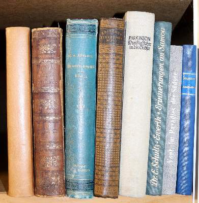 Bild Nr.3: 145-2108 Sammlung: (Verschiedene Länder - Geschichte, Südsee)