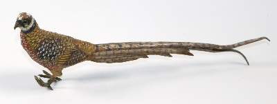 Bild Nr.1: 145-2691 Fasan, Wiener Bronze.: (Skulpturen - Plastiken)