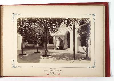 Bild Nr.5: 145-2763 Alger (Deckeltitel).: (Photographie)