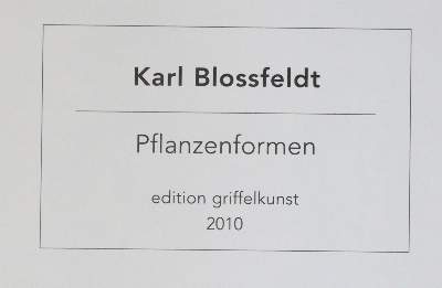 Bild Nr.3: 145-2788 Blossfeld, Karl: (Photografs)