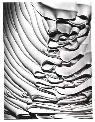 Bild Nr.5: 145-2789 Brill, Fritz: (Photografs)
