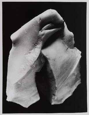 Bild Nr.7: 145-2789 Brill, Fritz: (Photografs)
