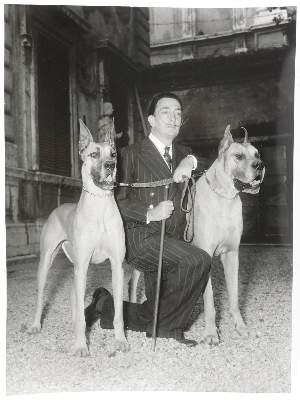 Bild Nr.7: 145-2796 Dali, Salvador.: (Photografs)