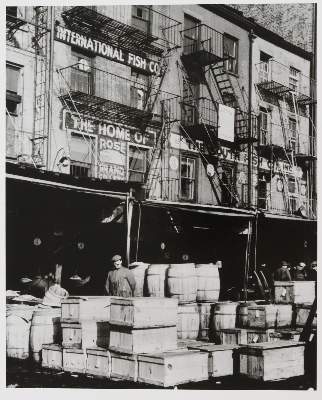 Bild Nr.6: 145-2808 Feininger, Andreas: (Photografs)