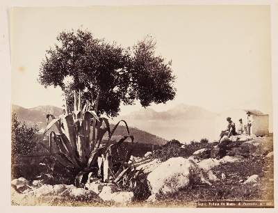 Bild Nr.9: 145-2846 Capri.: (Italien)
