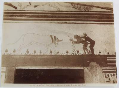 Bild Nr.9: 145-2852 Corneto Tarquinia: (Italien)