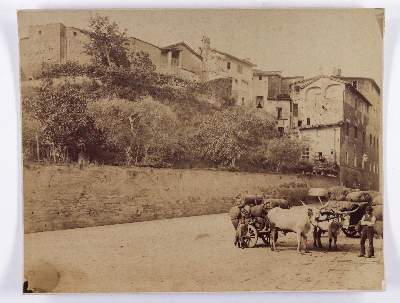 Bild Nr.6: 145-2856 Gloeden, Wilhelm von: (Italien)