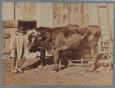 Bild Nr.8: 145-2856 Gloeden, Wilhelm von: (Italien)