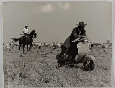 Bild Nr.6: 145-2877 Pais, Rodrigo: (Italien)