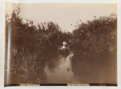 Bild Nr.5: 145-2880 Pasteum.: (Italien)
