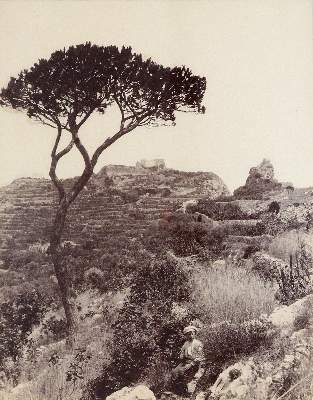 Bild Nr.1: 145-2916 Sommer, Giorgio: (Italien)