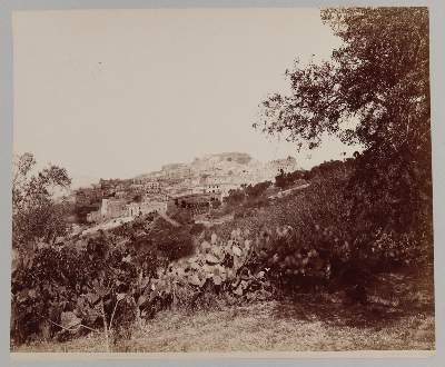 Bild Nr.4: 145-2917 Sommer, Giorgio: (Italien)