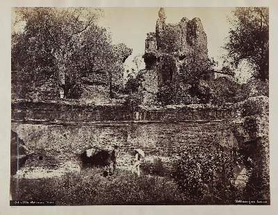 Bild Nr.1: 145-2924 Tivoli.: (Italien)