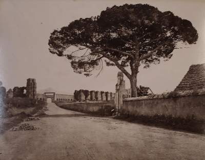Bild Nr.27: 145-2929 Ville Montalto: (Italien)