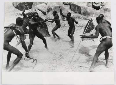 Bild Nr.7: 145-2958 Madagaskar.: (Photografs)
