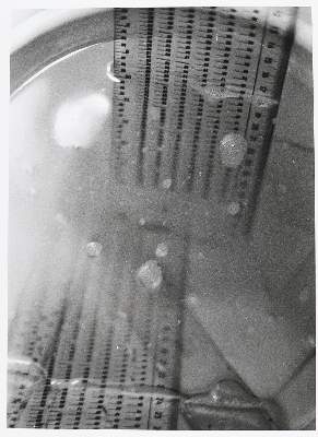 Bild Nr.6: 145-2973 Polke, Sigmar: (Photographie)
