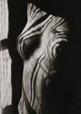 Bild Nr.1: 145-2977 Ray, Man: (Photografs)