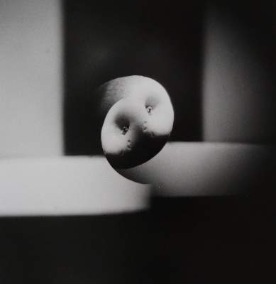 Bild Nr.6: 145-2989 Rössler, Jaroslav: (Photografs)