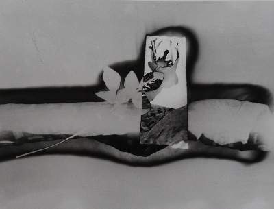 Bild Nr.8: 145-2989 Rössler, Jaroslav: (Photografs)