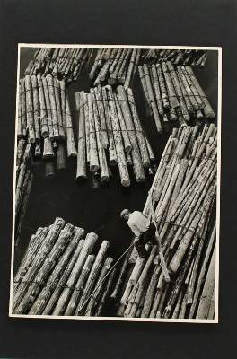 Bild Nr.1: 145-2994 Schneiders, Toni: (Photografs)