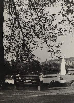 Bild Nr.3: 145-3000 Sammlung: (Schweiz)