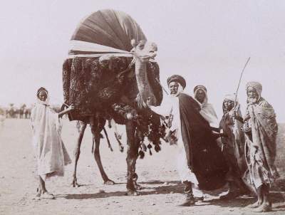 Bild Nr.3: 145-3008 Souvenir de Voyages: (Photografs)