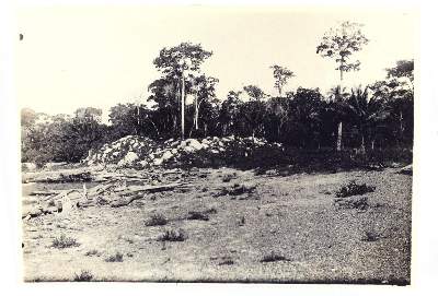 Bild Nr.7: 145-3018 Cachuela Esperanza: (Südamerika, Bolivien)