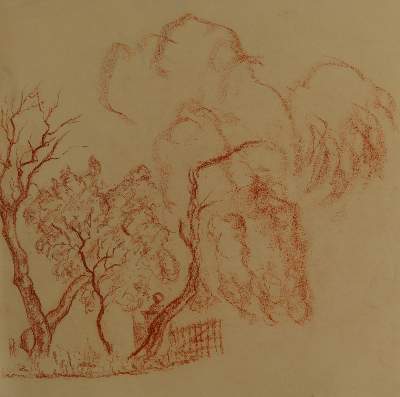 Bild Nr.6: 145-3063 Bäume.: (Varia, Botanik)