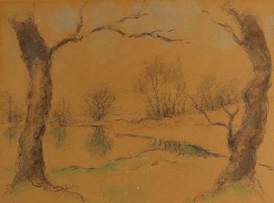 Bild Nr.7: 145-3063 Bäume.: (Varia, Botanik)