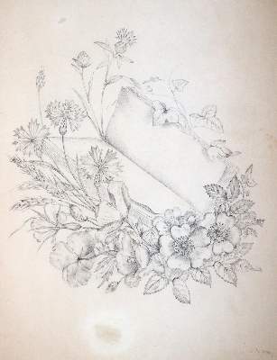 Bild Nr.4: 145-3068 Blumen.: (Varia, Botanik)