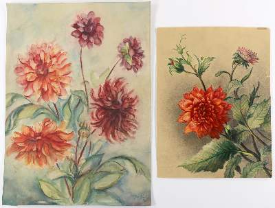 Bild Nr.3: 145-3069 Blumen.: (Varia, Botanik)