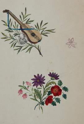 Bild Nr.9: 145-3070 Blumen und Ornamente.: (Varia, Botanik)