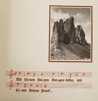 Bild Nr.1: 145-3074 Mein Schluchsee-Herbarium.: (Varia, Botanik)