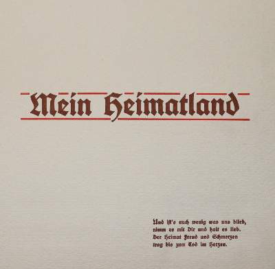 Bild Nr.3: 145-3074 Mein Schluchsee-Herbarium.: (Varia, Botanik)