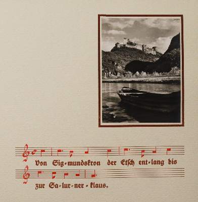 Bild Nr.4: 145-3074 Mein Schluchsee-Herbarium.: (Varia, Botanik)