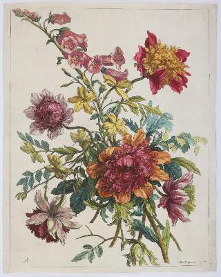 Bild Nr.2: 145-3075 Merian, Maria Sibylla: (Varia, Botanik)