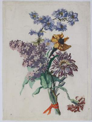 Bild Nr.3: 145-3075 Merian, Maria Sibylla: (Varia, Botanik)
