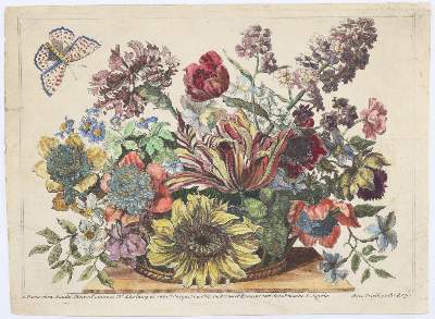 Bild Nr.6: 145-3075 Merian, Maria Sibylla: (Varia, Botanik)