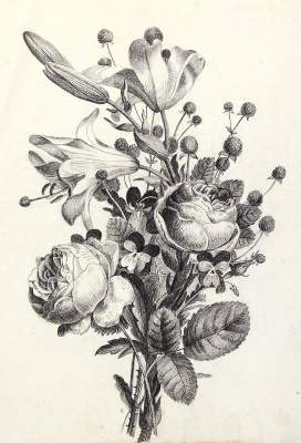 Bild Nr.1: 145-3082 Rosen: (Varia, Botanik)