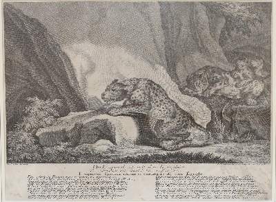 Bild Nr.1: 145-3119 Ridinger, Johann Elias: (Varia, Jagd)