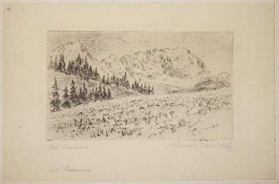 Bild Nr.5: 145-3136 Konvolut: (Varia)