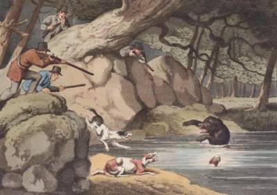 Bild Nr.1: 145-3199 Sammlung: (Varia)