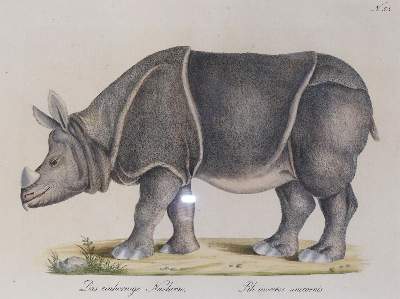 Bild Nr.1: 145-3219 Brodtmann, Carl Joseph: (Varia, Zoologie)