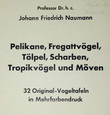 Bild Nr.3: 145-3224 Naumann,J.F.: (Varia, Zoologie)