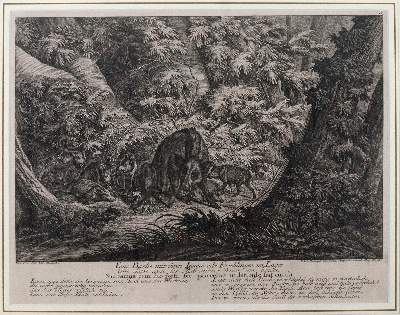 Bild Nr.2: 145-3228 Riedinger, Johann Elias: (Varia, Zoologie)