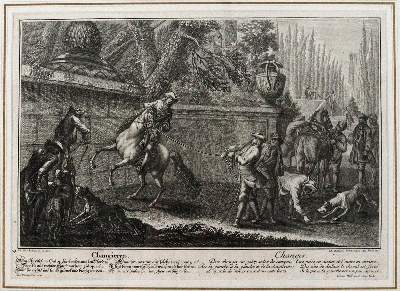 Bild Nr.4: 145-3228 Riedinger, Johann Elias: (Varia, Zoologie)