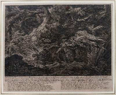 Bild Nr.5: 145-3228 Riedinger, Johann Elias: (Varia, Zoologie)